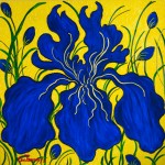 Blue Angel (Iris), 2011